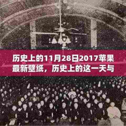 历史上的苹果壁纸变迁,揭秘苹果壁纸背后的故事与意义(附最新壁纸)