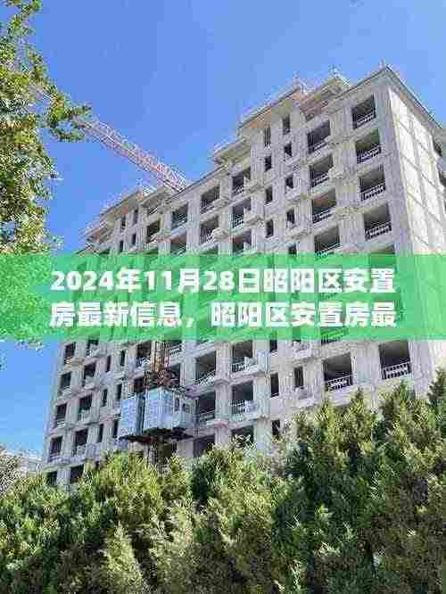 昭阳区安置房最新动态揭晓,2024年11月28日安居新动向揭秘!
