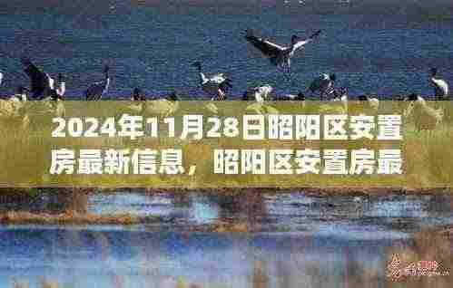 昭阳区安置房最新动态揭晓,2024年11月28日安居新动向揭秘!