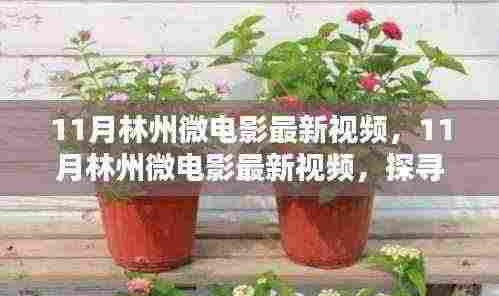 探寻影视之美,林州微电影最新视频发布,展现独特魅力