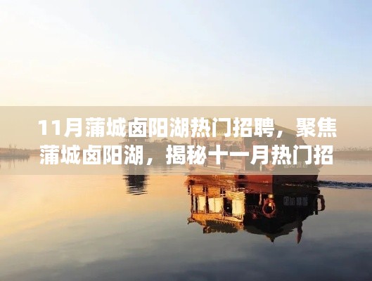 揭秘蒲城卤阳湖十一月热门招聘背后的秘密,聚焦最新招聘信息与趋势分析