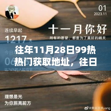 秋日的网络奇遇,往年热热门与今日温情的交汇点
