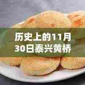 泰兴黄桥最新规划图解析及获取指南，11月30日历史版规划揭秘，适合初学者与进阶用户