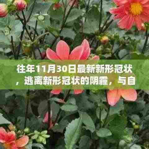 逃离新冠疫情阴霾,与自然美景的不期而遇之道