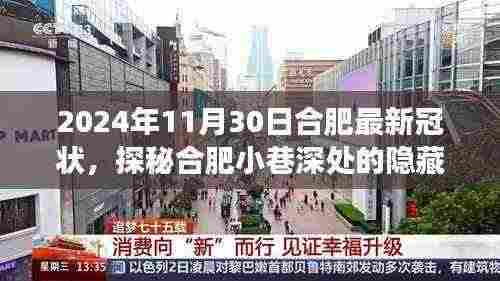 合肥小巷深处的隐藏瑰宝,一场与冠状病毒的意外邂逅在合肥的最新动态