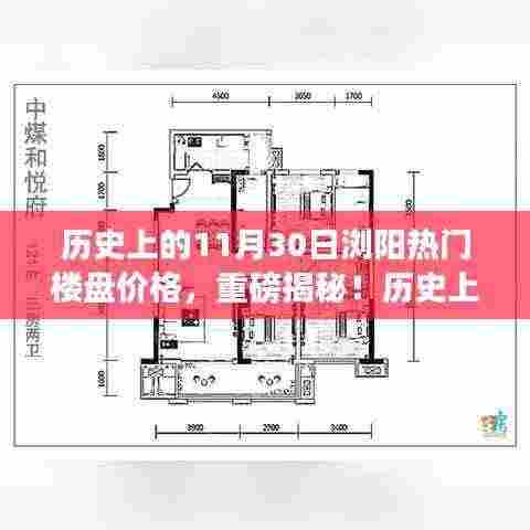 揭秘!历史上的11月30日浏阳热门楼盘价格走势与今日揭秘重磅曝光!