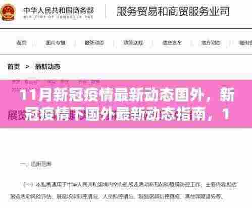 国外新冠疫情最新动态指南，11月应对与自我防护全攻略