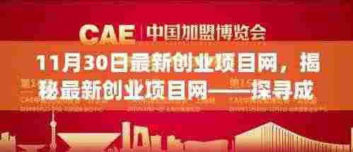 揭秘最新创业项目网,探寻成功之路的三大要点(附11月30日最新资讯)