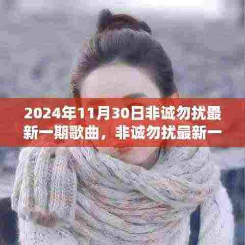 聚焦非诚勿扰,最新一期歌曲深度解析与回顾 2024年11月30日
