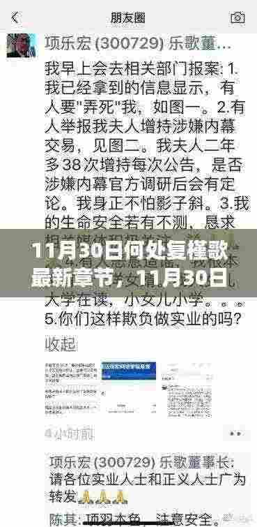 11月30日何处复槿歌最新章节,多元观点与个人立场的深度探讨