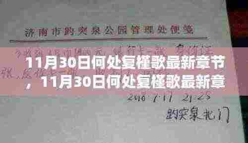 11月30日何处复槿歌最新章节,多元观点与个人立场的深度探讨