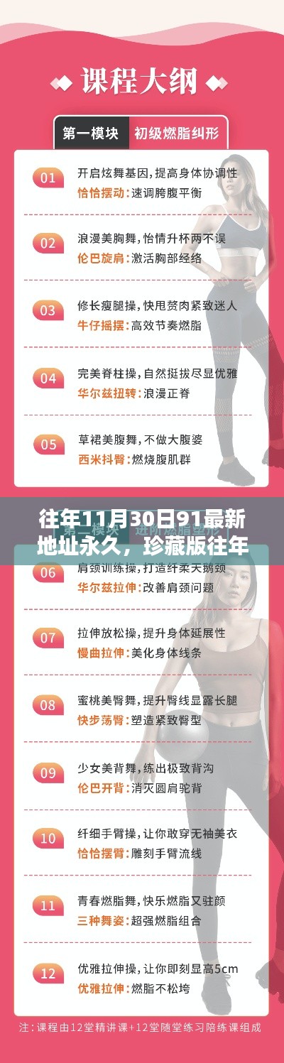 珍藏版指南,探索往年11月30日91最新永久地址,不容错过!