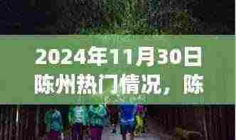 陈州之旅，探索自然美景，寻找内心平静的力量——陈州热门情况报道（2024年11月30日）