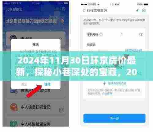 探秘小巷深处的宝藏,揭秘环京房价新风尚与独特小店的奇妙邂逅
