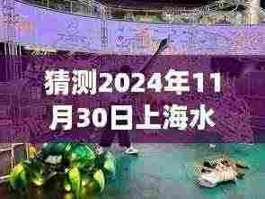 探秘魔都隐秘小巷,特色水产摊位传奇故事与未来转让猜想,2024年最新动态