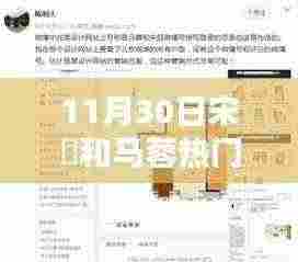 揭秘宋喆与马蓉的最新动态，11月30日的热议焦点