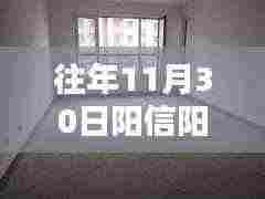 往年11月30日阳信阳城花园房价揭秘，最新价格查询指南与房价信息获取攻略