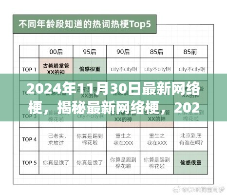 揭秘现象级网络流行文化,最新网络梗解读,2024年11月30日独家揭秘!