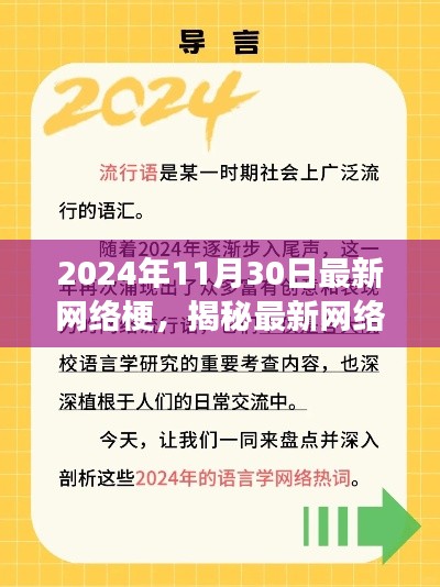 揭秘现象级网络流行文化,最新网络梗解读,2024年11月30日独家揭秘!