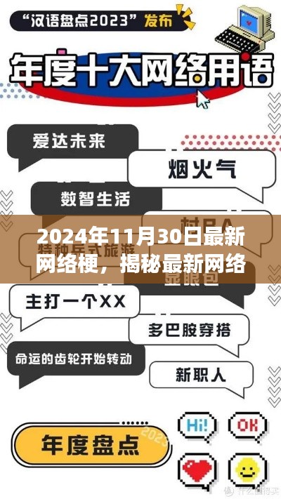 揭秘现象级网络流行文化,最新网络梗解读,2024年11月30日独家揭秘!