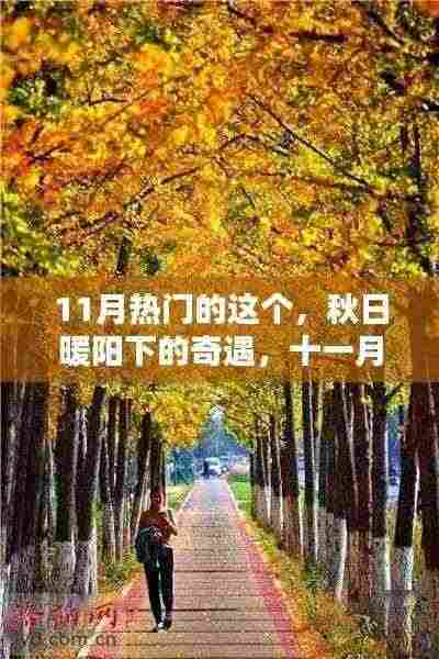 秋日暖阳下的奇遇,十一月温馨日常