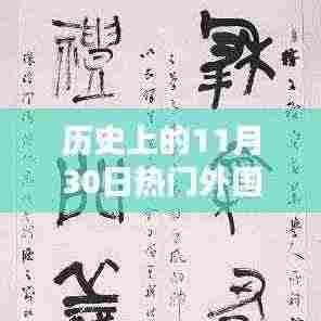 历史上的11月30日,外国网友热议中国之某观点观察