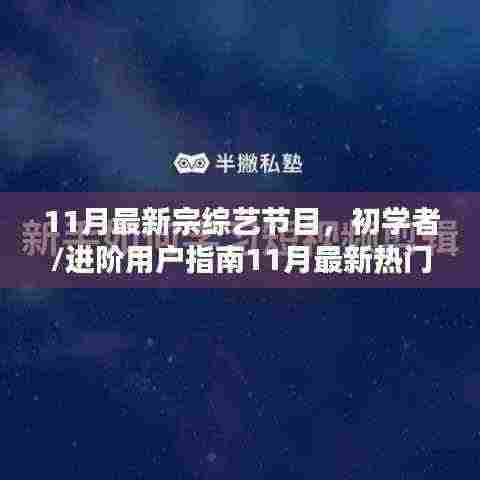 初学者到进阶!11月最新热门综艺节目观看全攻略