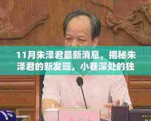 朱泽君最新发现,小巷深处的隐藏版特色小店揭秘