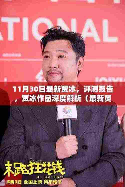 最新贾冰评测报告及作品深度解析(XXXX年11月30日版)