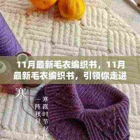 11月最新毛衣编织书,引领你走进温暖时尚的编织世界