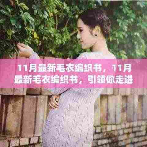 11月最新毛衣编织书,引领你走进温暖时尚的编织世界