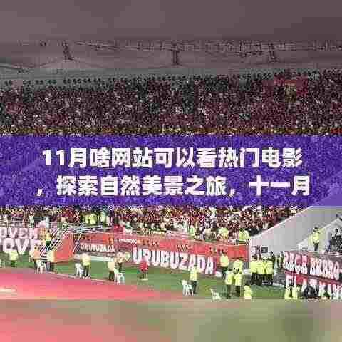 十一月热门电影与自然美景探索,观影指南与心灵之旅启程的绝佳站点