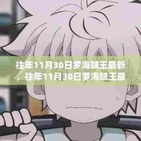 往年11月30日罗海贼王最新评测,特性、体验、竞品对比及用户群体深度解析