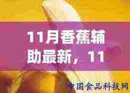 11月香蕉辅助,学习变化的力量,自信与成就感的诞生最新指南