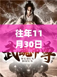 往年11月30日帝尊武魂小说最新章节,深度解析与观点阐述
