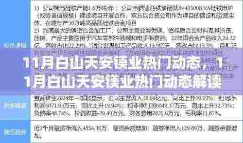 11月白山天安镁业热门动态解析与参与指南