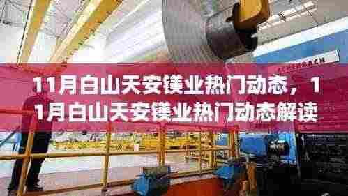 11月白山天安镁业热门动态解析与参与指南