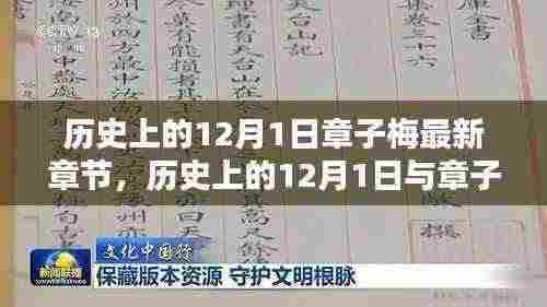 揭秘历史上的章子梅新篇章,探寻十二月一日的秘密