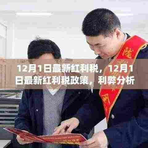 12月1日最新红利税政策解析,利弊分析与个人立场观点