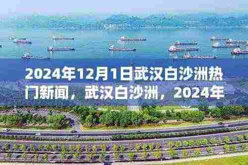 武汉白沙洲热门新闻回顾,聚焦2024年12月1日