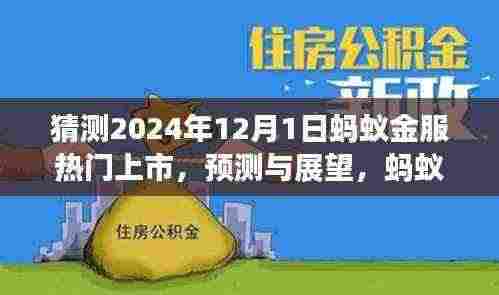 蚂蚁金服热门上市之路展望,预测与探索(2024年视角)
