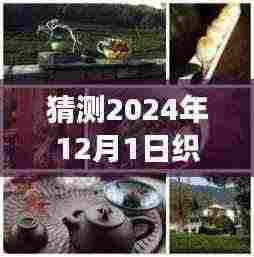 织田最新美食探秘,小巷深处的隐藏美食,未知魅力揭晓——2024年12月1日的美食猜想