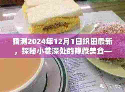 织田最新美食探秘,小巷深处的隐藏美食,未知魅力揭晓——2024年12月1日的美食猜想