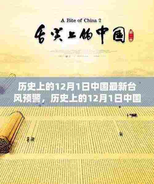 12月1日中国最新台风预警及系统评测概述