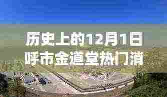 历史上的12月1日呼市金道堂热门消息深度解析,从某某观点看背后的故事