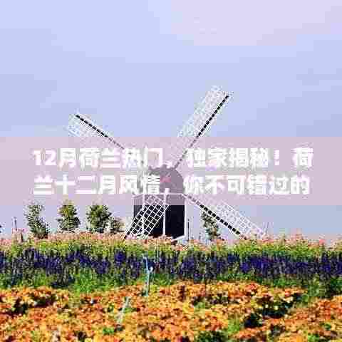 独家揭秘！荷兰十二月风情，精彩瞬间，不容错过！