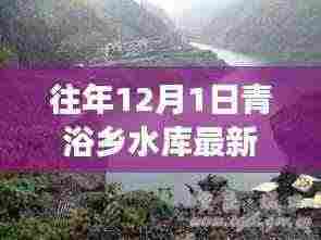 青浴乡水库建设进展深度解读,最新动态与科学视角观察报告