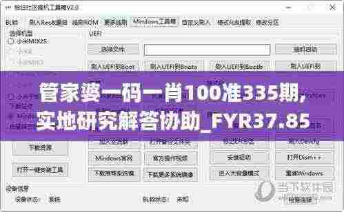 管家婆一码一肖100准335期,实地研究解答协助_FYR37.852赋能版