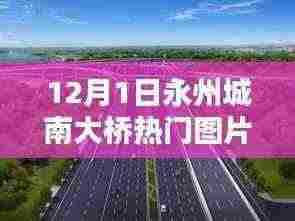 永州城南大桥下的暖心日常,热门图片的奇遇记