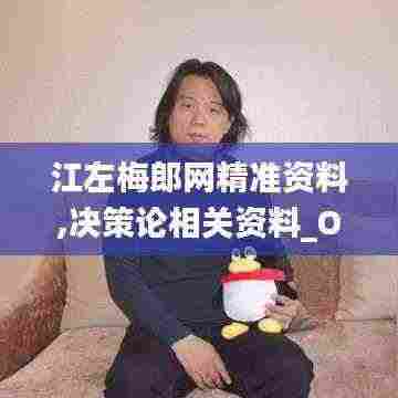 江左梅郎网精准资料,决策论相关资料_OPT56.549赋能版